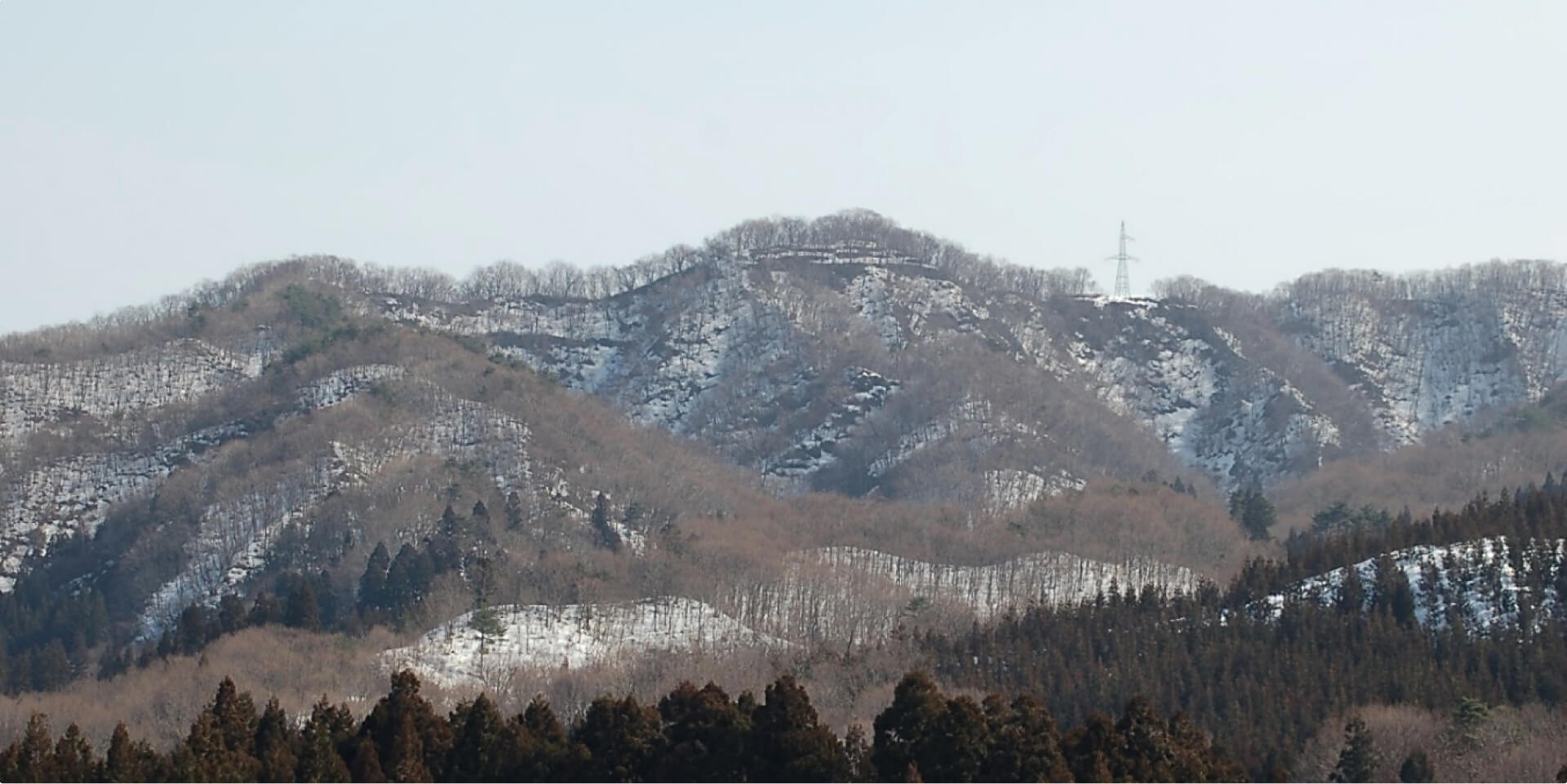 桃川根古屋城跡の全貌　 中央の高所部が主郭　雪消えの様子から段々（曲輪）がわかる　（標高260ｍ）